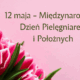 12 maja - Międzynarodowy Dzień Pielęgniarek i Położnych